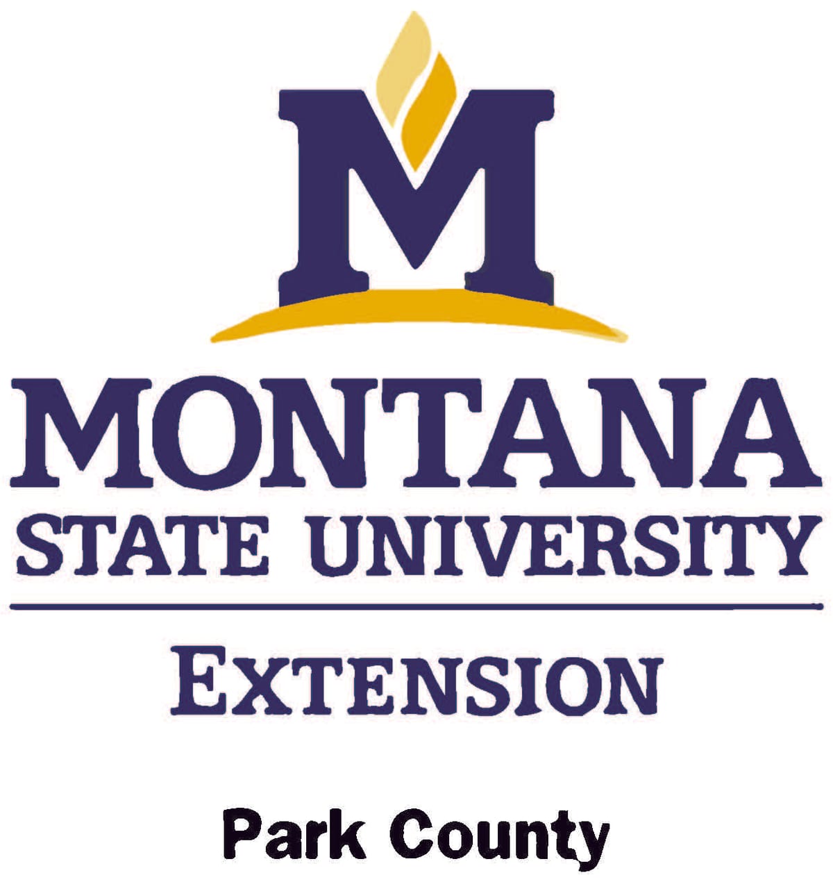 MSU Extension Seeking Judges for the Park County 4-H/ FFA Fair