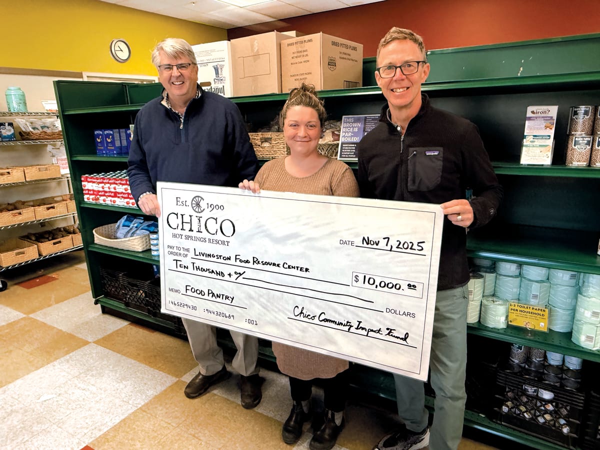 SNAP Benefit Relief Efforts