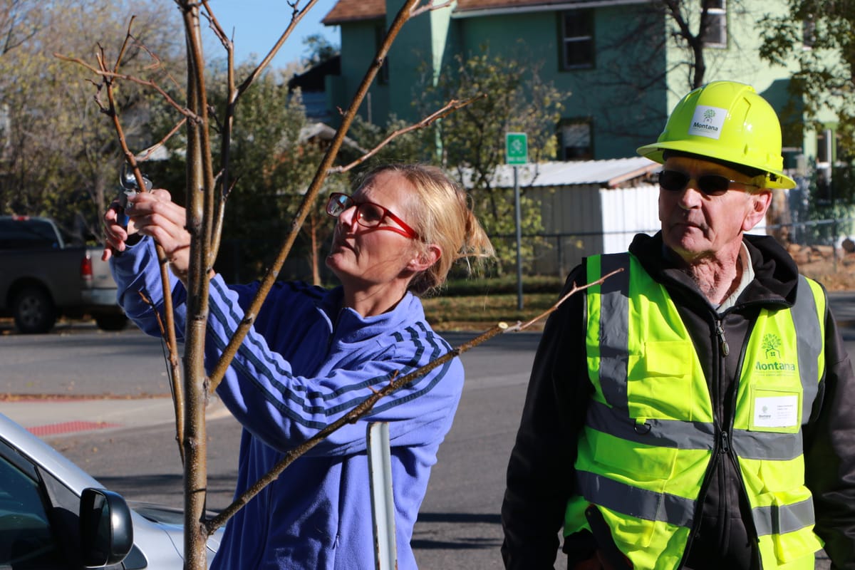 Livingston Loves Trees Launches Community Tree Pruning Initiative
