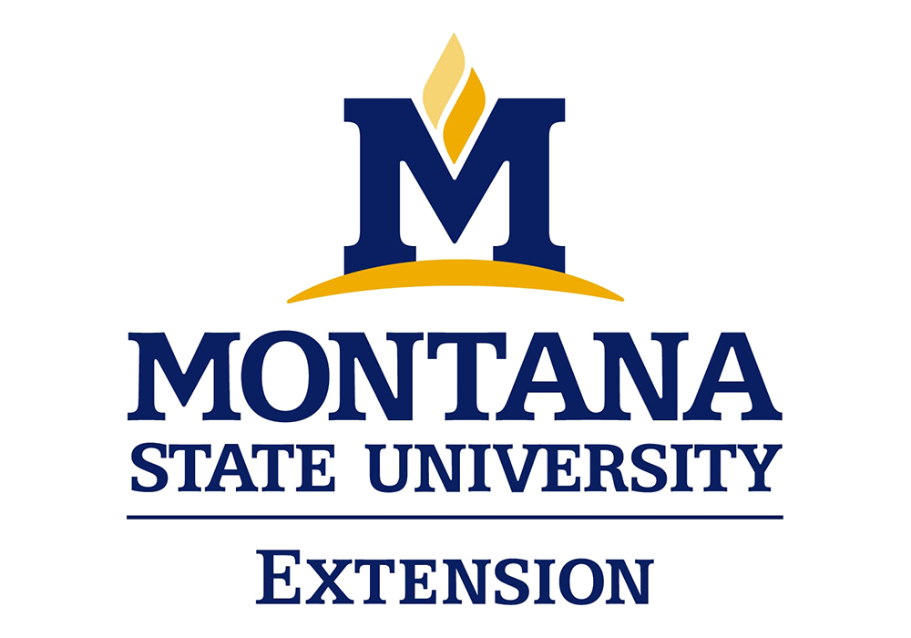 November “Master and Mingle” Series – Profit & Loss Statements