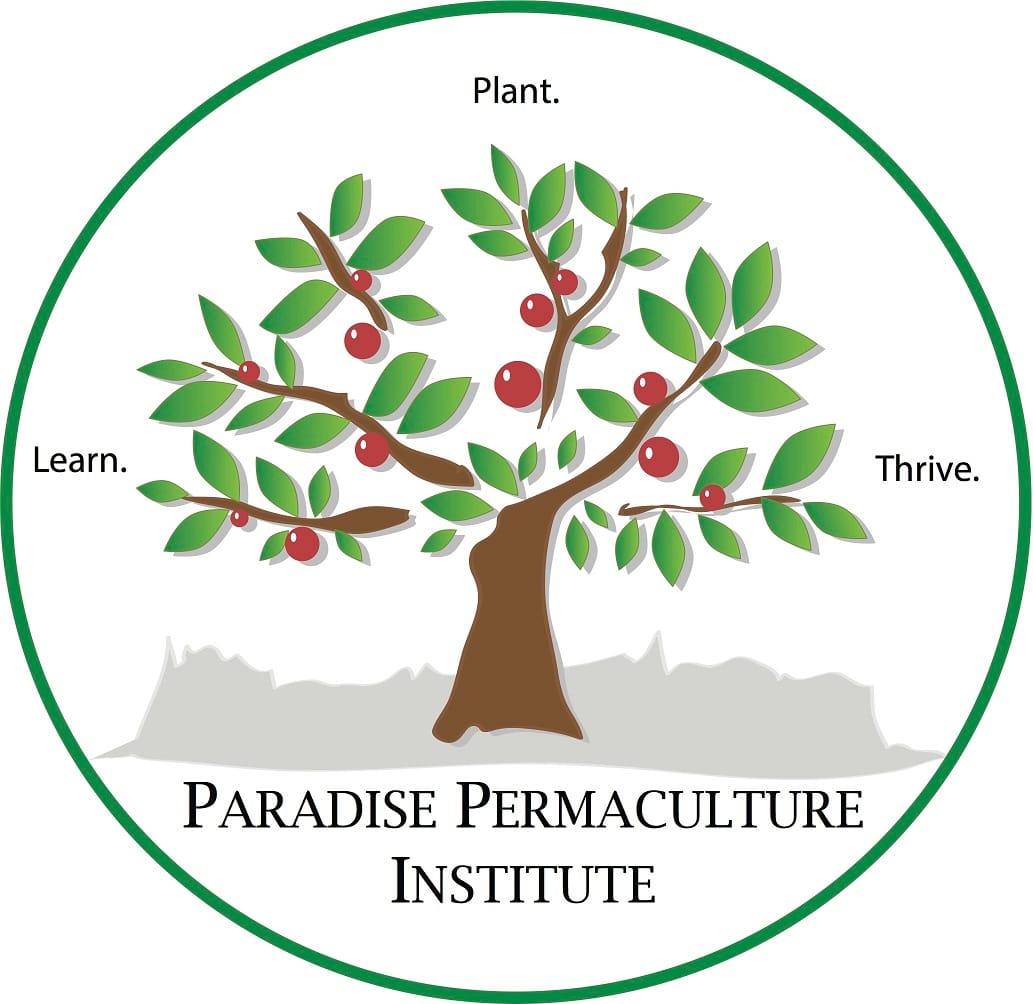 Dry Winter, Dry Soil, Stressed Plants