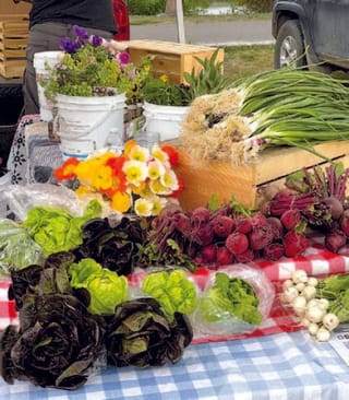 WSE’s Livingston Farmers Market Kicks Off June 4th