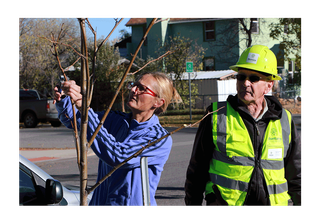 Livingston Loves Trees Launches Community Tree Pruning Initiative