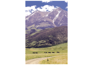 Park County Land Trust Establishes Conservation Assistance Fund to Help Landowners Protect Open Spaces