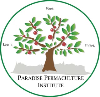 Dry Winter, Dry Soil, Stressed Plants