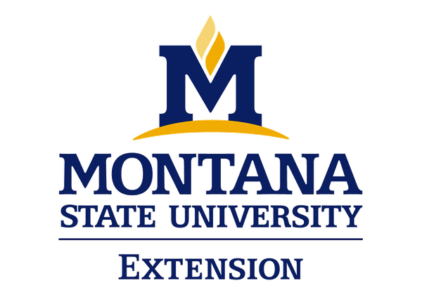 November “Master and Mingle” Series – Profit & Loss Statements