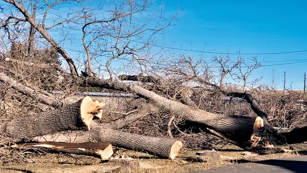 Opinion-Editorial: My Heart is Breaking