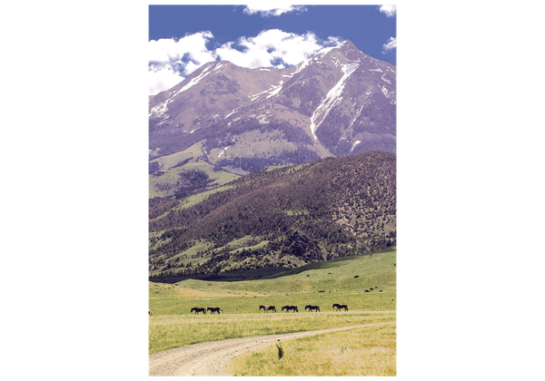 Park County Land Trust Establishes Conservation Assistance Fund to Help Landowners Protect Open Spaces