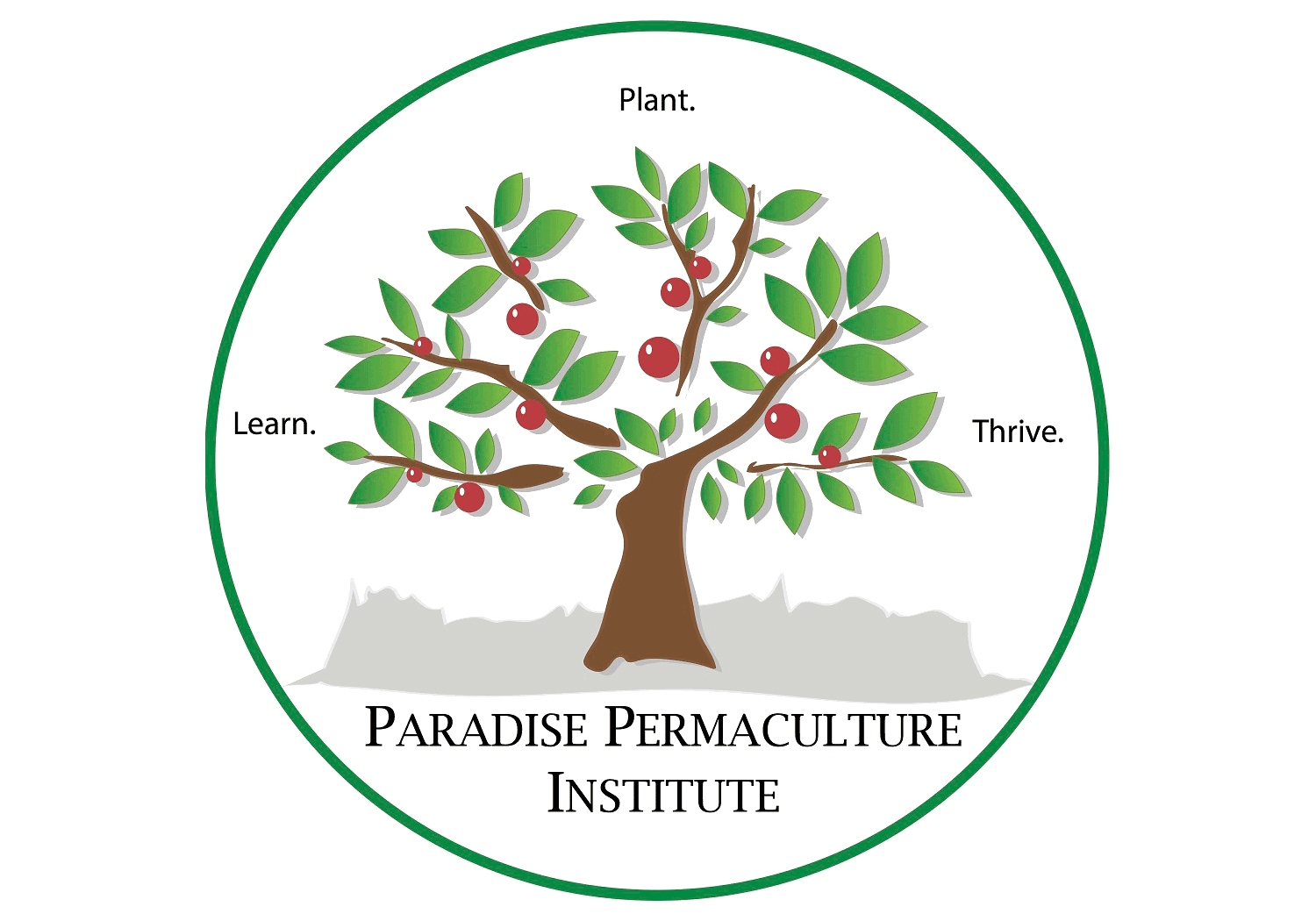 Dry Winter, Dry Soil, Stressed Plants